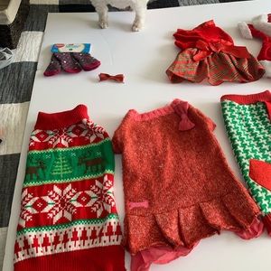 Holiday dog clothes bundle